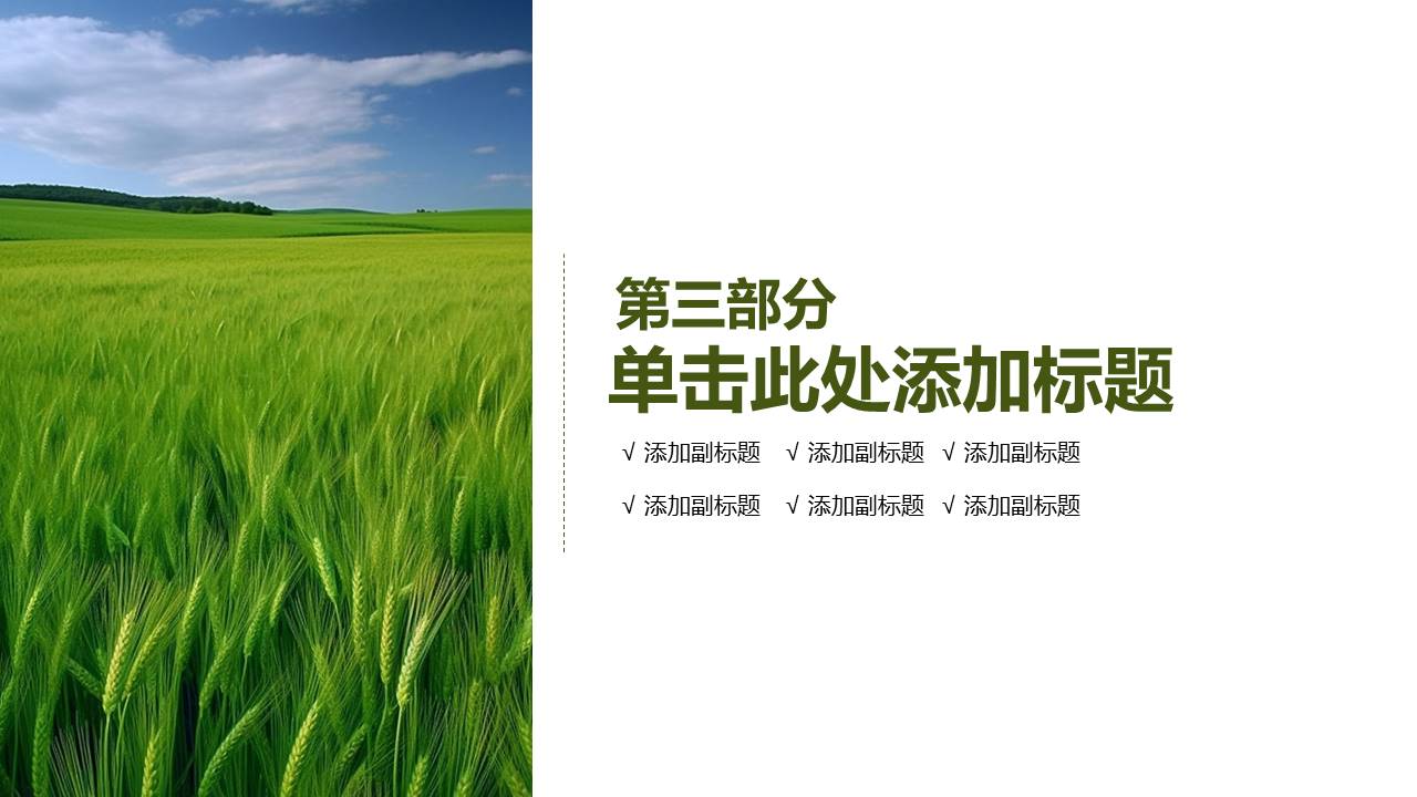 农业 (31).pptx